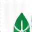 Icône d'une feuille d'arbre et d'un graphique de consommation d'énergie